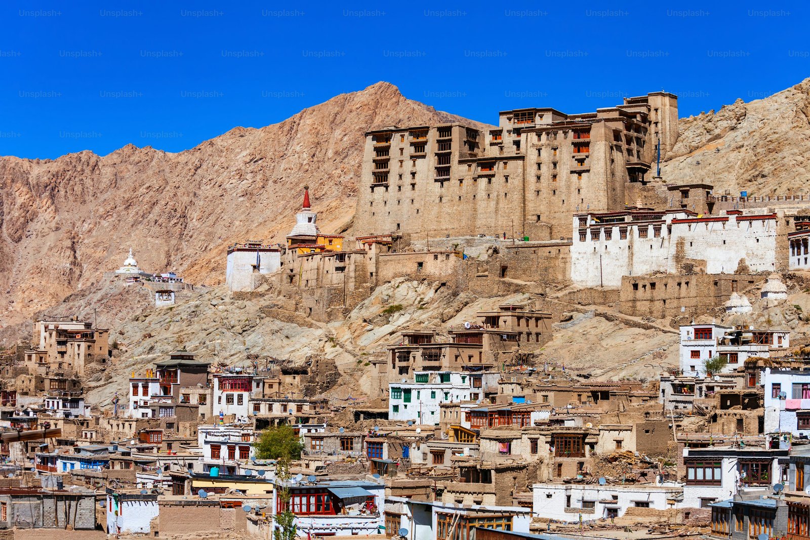 Manali Leh Tour